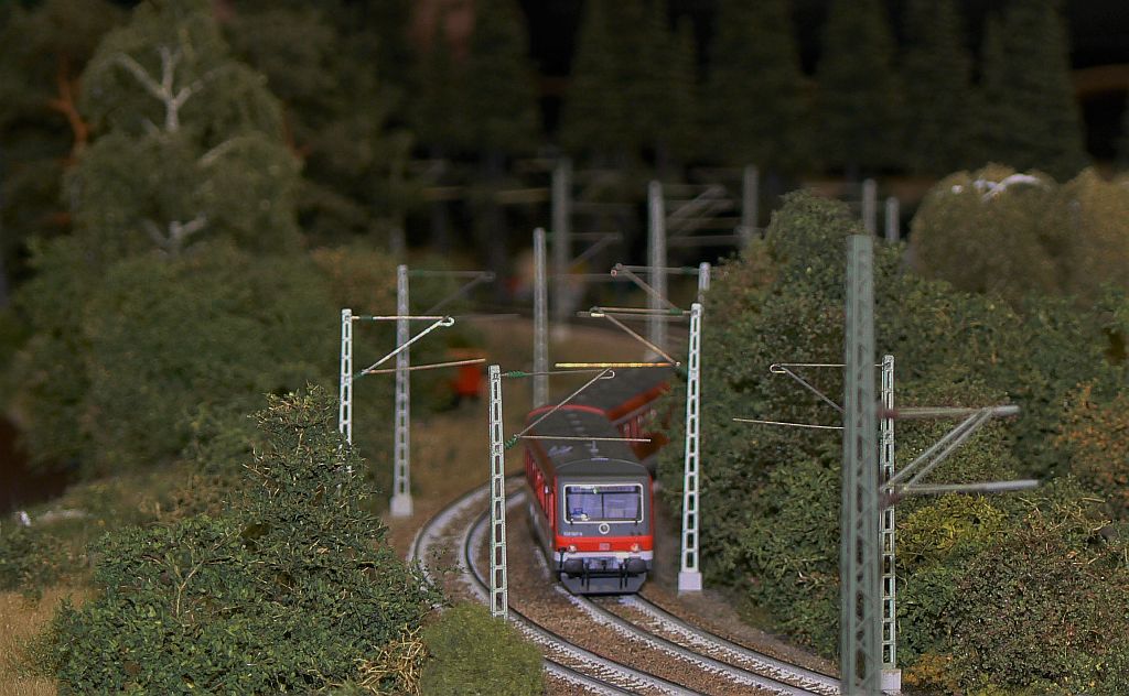 Sachsenwald-Express